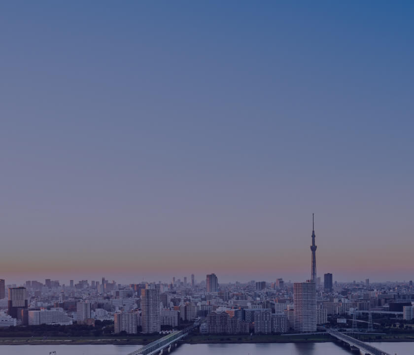 事業領域